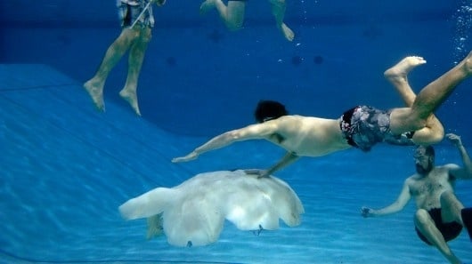 #Video Lo último en robots: medusas gigantes para vigilar los océanos 1 #Video Lo último en robots: medusas gigantes para vigilar los océanos 2