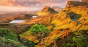 Animales y Naturaleza 13