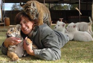 Animales y Naturaleza 19