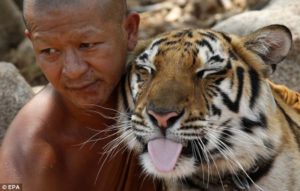 Animales y Naturaleza 20