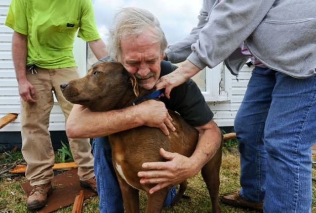 noticiascuriosas emotivas fotos que seguramente romperán tu corazón