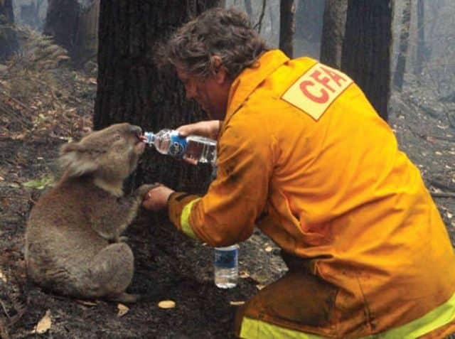 noticiascuriosas emotivas fotos que seguramente romperán tu corazón
