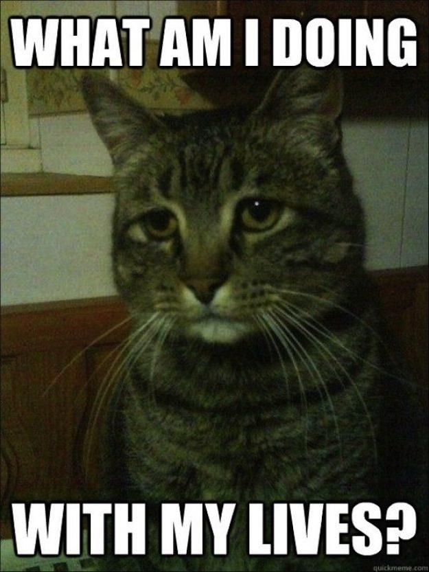 21 gatos que no están en huelga el complicado equilibrio de trabajo y vida 10 21 gatos que no están en huelga el complicado equilibrio de trabajo y vida 10