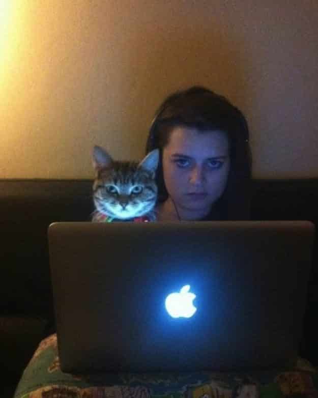 21 gatos que no están en huelga el complicado equilibrio de trabajo y vida 17 21 gatos que no están en huelga el complicado equilibrio de trabajo y vida 17