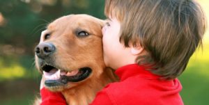 Animales y Naturaleza 15