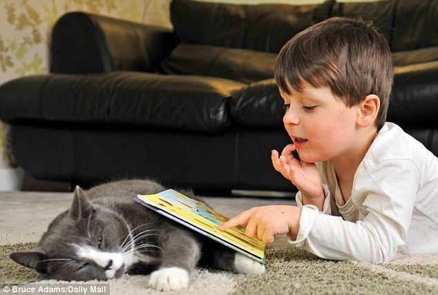 Billy, un gato abandonado y adoptado que ayuda cada dia a un niño autista 6