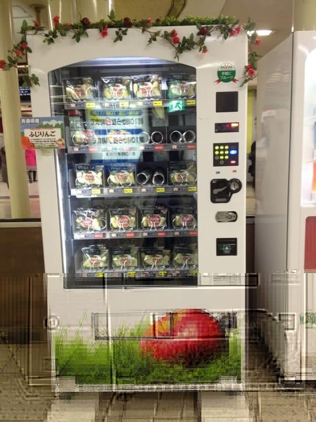 Las máquinas de vending más disparatadas de Japón 8 Las máquinas de vending más disparatadas de Japón 9