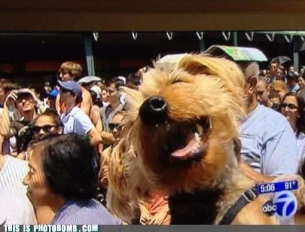 size17433318-3676399-4138497