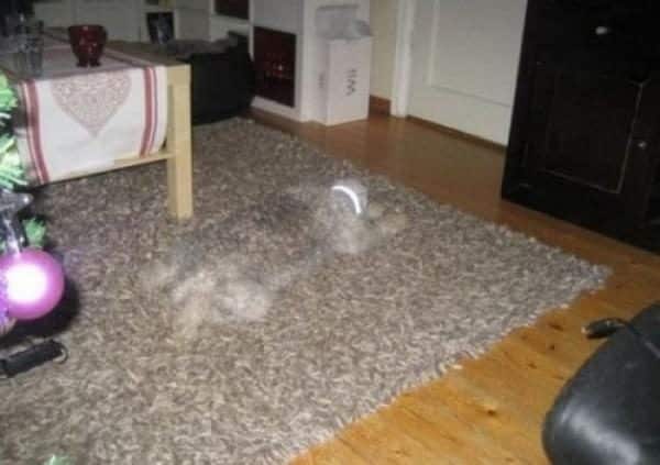 size1886586-2371880-8992847