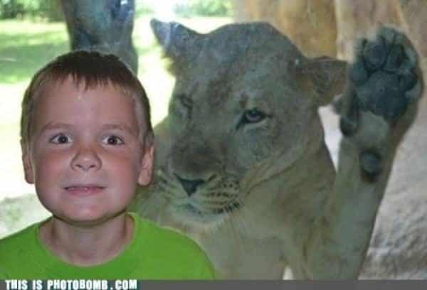 size19982720-7699387-1083727