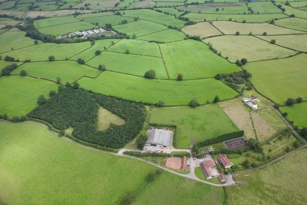 Agricultor plantó 6000 robles para formar corazón en memoria de su esposa