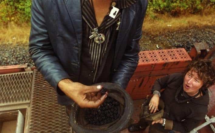 Narra desde dentro la vida de los vagabundos juveniles que viajan como polizones ferroviarios 8