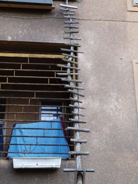 El puente de los gatitos 7