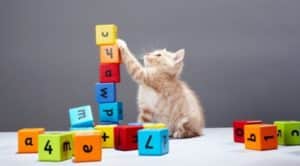 Animales y Naturaleza 23