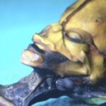 Documental revela en imágenes a alienígena descubierto en Chile (Fotos y Video) 6