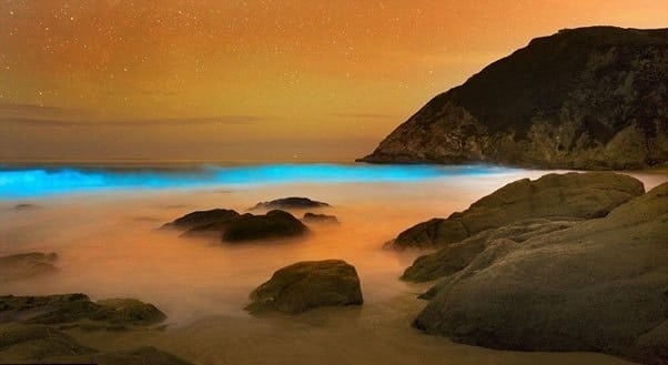 Hermosas olas azules brillantes que parecen de otro planeta (Fotos) Hermosas olas azules brillantes que parecen de otro planeta (Fotos) 1