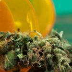Estudio revela que pastilla de marihuana sería más efectiva para el dolor 2