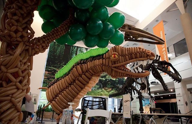 Dinosaurio de 6 metros hecho con globitos 5
