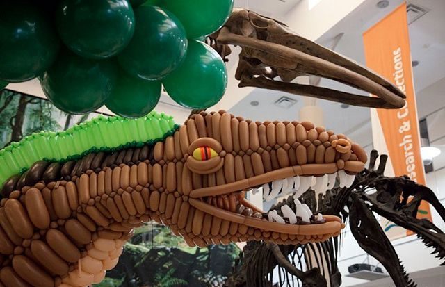 Dinosaurio de 6 metros hecho con globitos 6