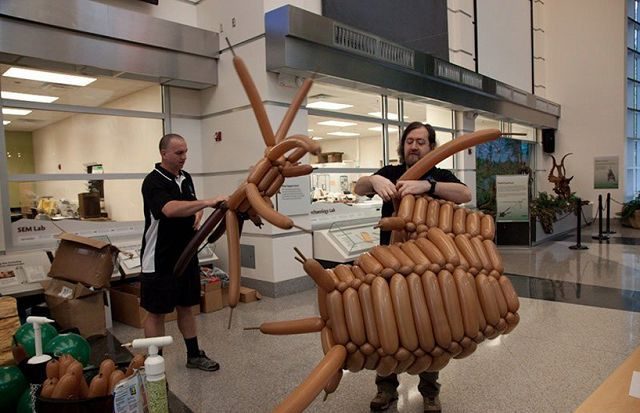 Dinosaurio de 6 metros hecho con globitos 7