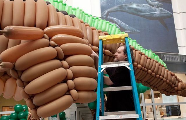 Dinosaurio de 6 metros hecho con globitos 11