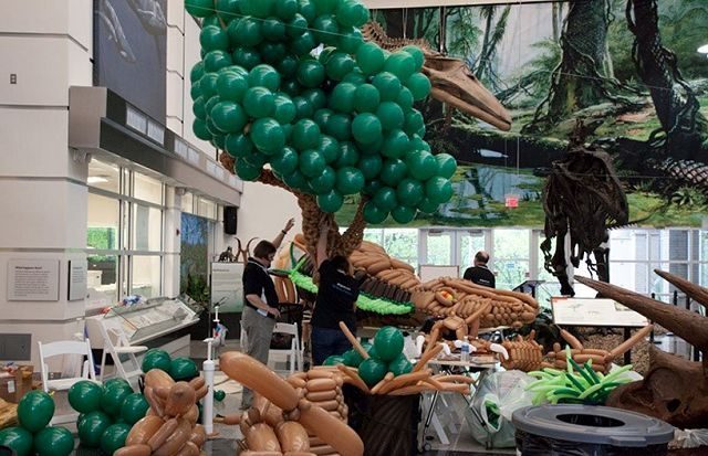 Dinosaurio de 6 metros hecho con globitos 12