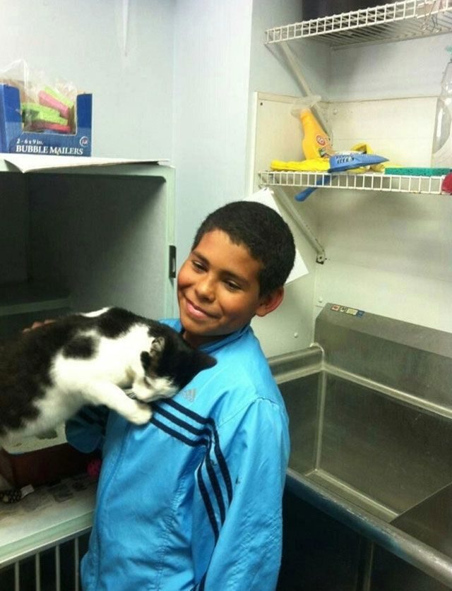 Un niño de 10 años salva a un gato de unos niños que lo estaban maltratando 4