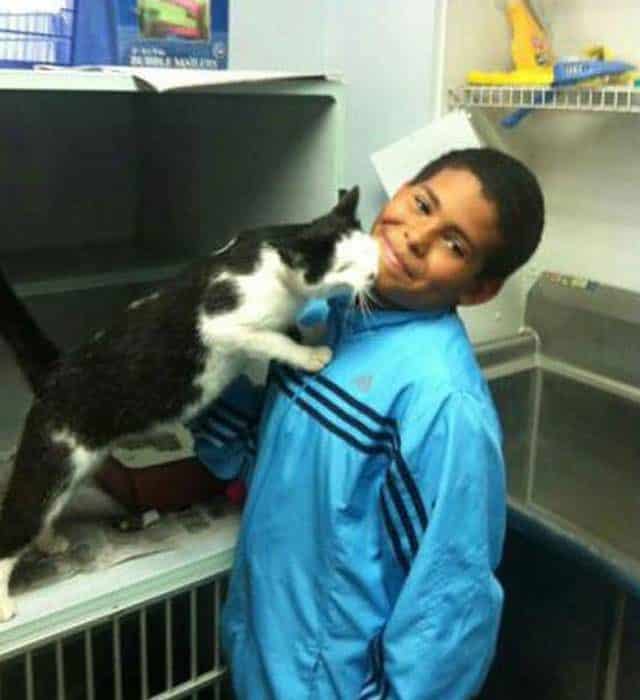 Un niño de 10 años salva a un gato de unos niños que lo estaban maltratando 5
