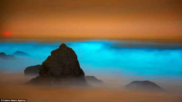Hermosas olas azules brillantes que parecen de otro planeta (Fotos) 1 olas-azules-fluorescentes-california-5243342-5599948