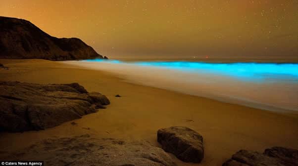 Hermosas olas azules brillantes que parecen de otro planeta (Fotos) 2 olas-azules-fluorescentes-california3-6399217-6141443