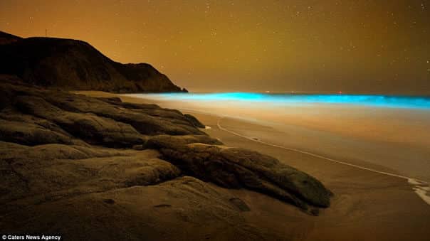 Hermosas olas azules brillantes que parecen de otro planeta (Fotos) 3 olas-azules-fluorescentes-california4-3687606-3059916