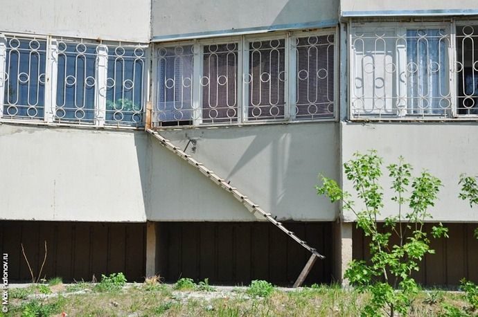 El puente de los gatitos 11