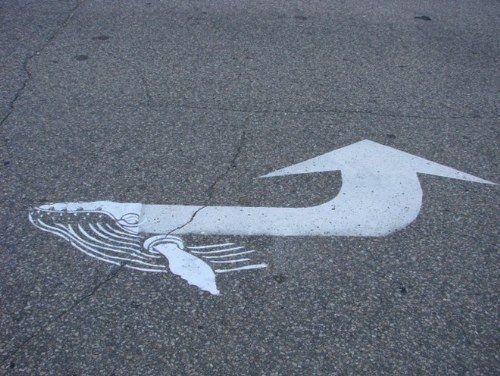 Campaña de arte callejero por Peter Gibson 17