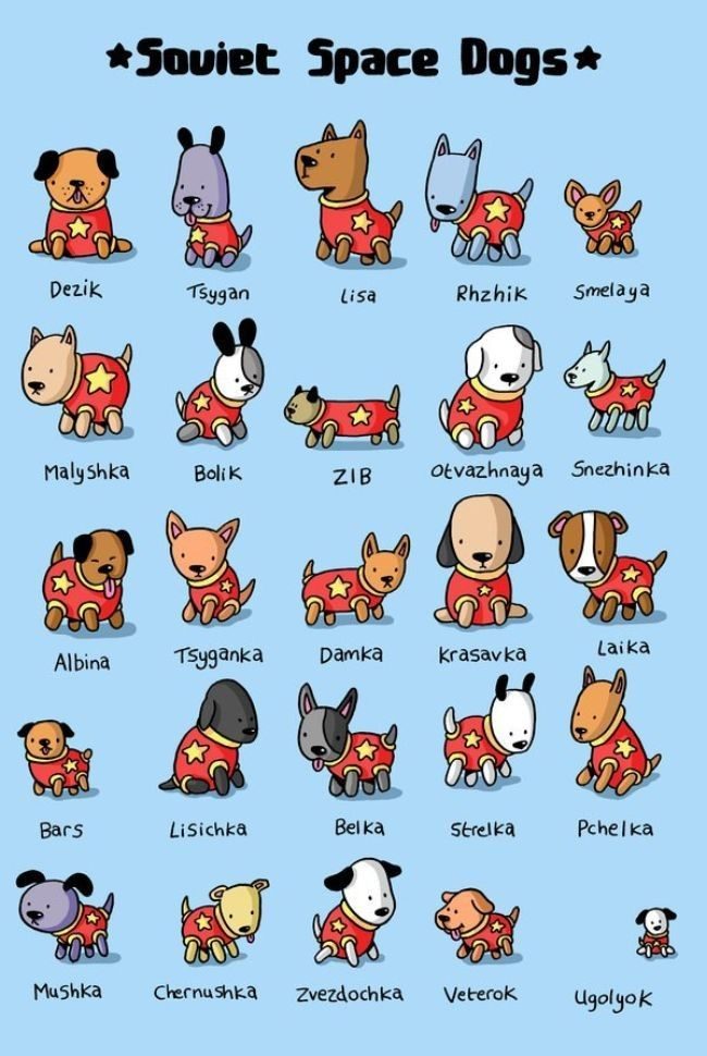 Homenaje a todos los perros soviéticos que viajaron al espacio 3