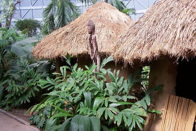 Isla tropical dentro de una cúpula y rodeada de nieve 23