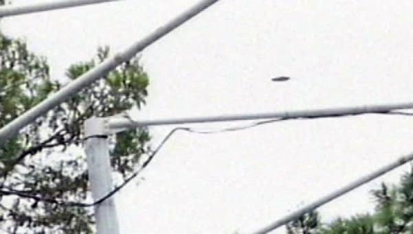 Fotografían un ovni durante un espectáculo de ballenas 1 Fotografían un ovni durante un espectáculo de ballenas 2