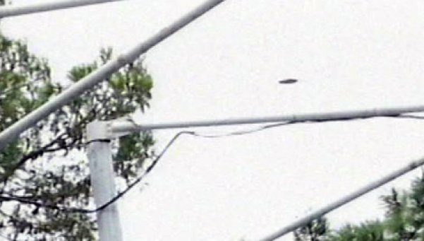 Fotografían un ovni durante un espectáculo de ballenas 3 noticiascuriosas Fotografían un ovni durante un espectáculo de ballenas