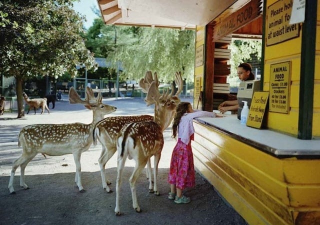 La fotógrafa Robin Schwartz muestra la conexión de su hija con animales de todo tipo 1
