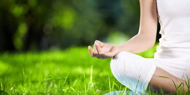 ¡Meditar cambia tu cerebro! ¡Meditar cambia tu cerebro! 1