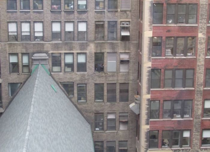 Un limpiador de ventanas valiente en Manhattan. ¿O un loco temerario? 2 Un limpiador de ventanas valiente en Manhattan. ¿O un loco temerario? 3