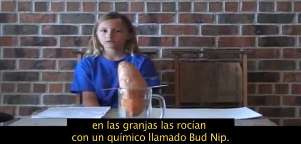 #Video Una niña hace un proyecto de ciencias y descubre la horrible verdad sobre el Bup Nip 1