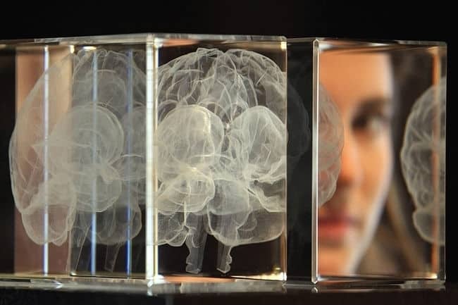 Secretos sobre el cerebro para triunfar en el marketing Secretos sobre el cerebro para triunfar en el marketing 1