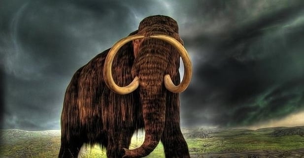 Más cerca de clonar mamuts a partir de elefantes 5