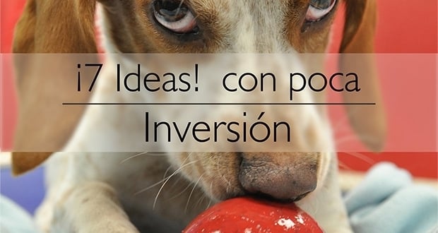 7 Negocios para iniciar con poca inversión 1 7 Negocios para iniciar con poca inversión 2
