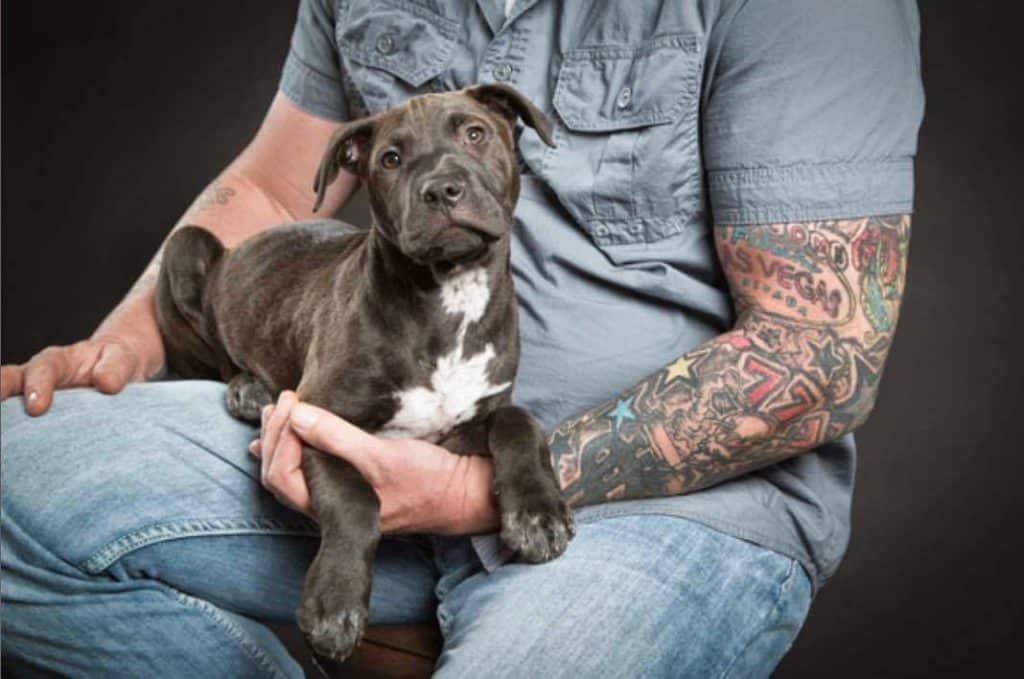 Un perro encontró objetos robados en una bodega Un perro encontró objetos robados en una bodega 1
