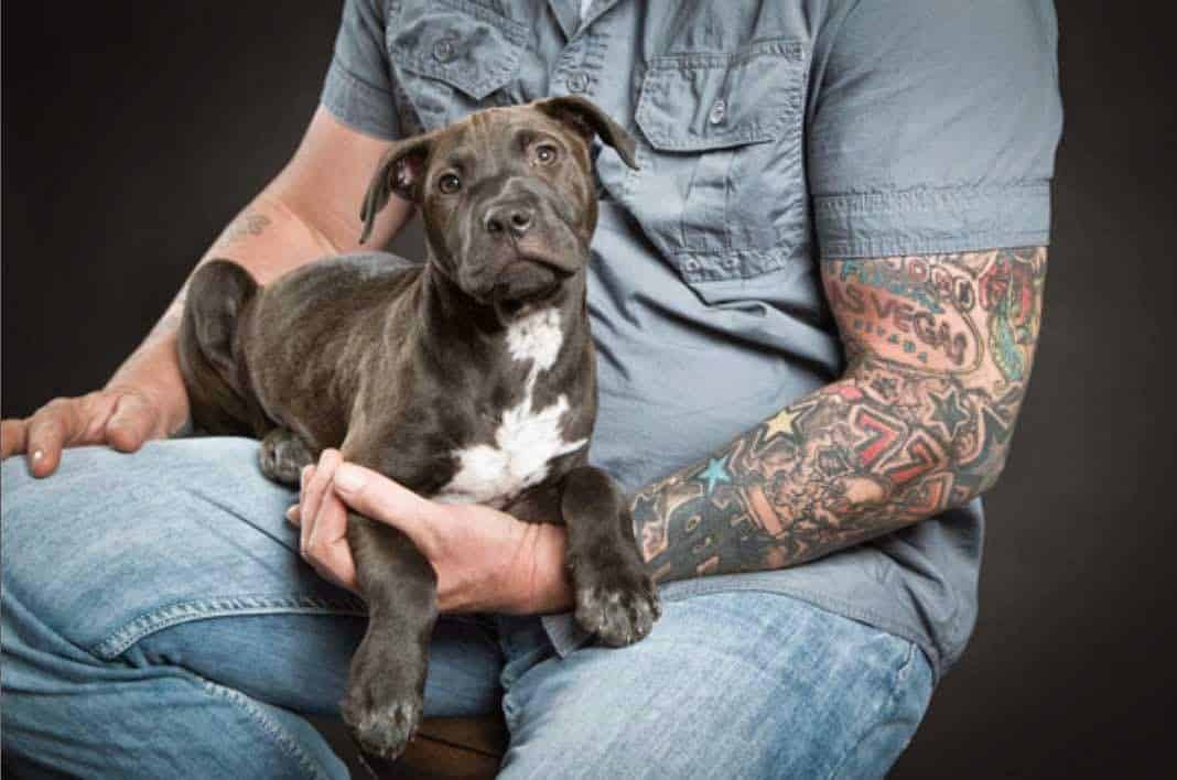 Un perro encontró objetos robados en una bodega 1 Un perro encontró objetos robados en una bodega 2