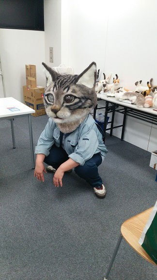 Por fin crean una máscara de la cabeza de gato gigante