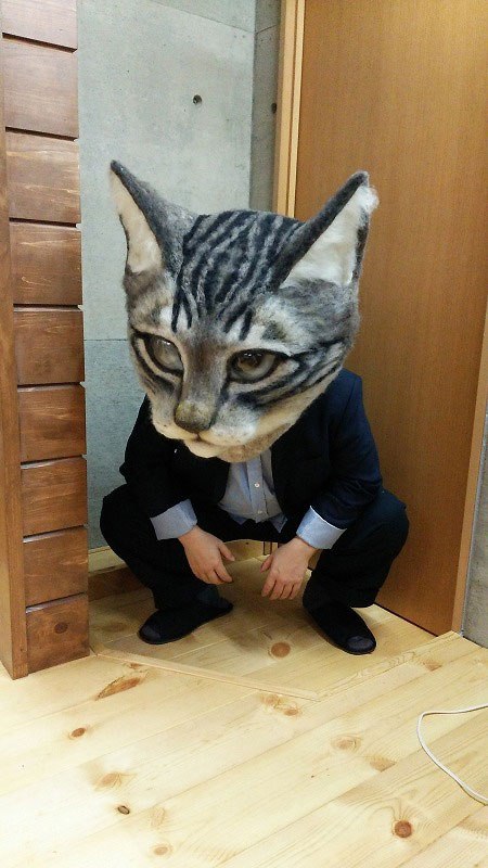 Por fin crean una máscara de la cabeza de gato gigante