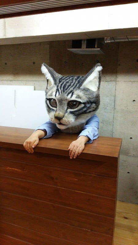 Por fin crean una máscara de la cabeza de gato gigante 3 Por fin crean una máscara de la cabeza de gato gigante