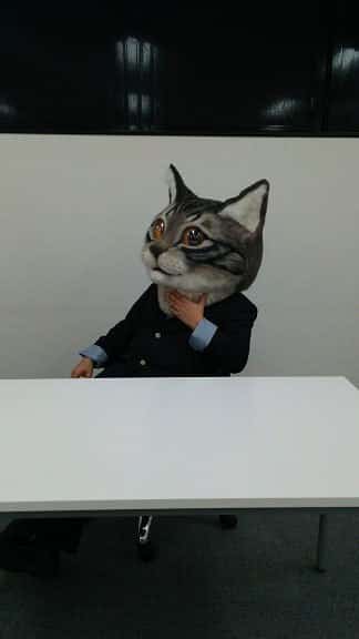 Por fin crean una máscara de la cabeza de gato gigante 6 Por fin crean una máscara de la cabeza de gato gigante